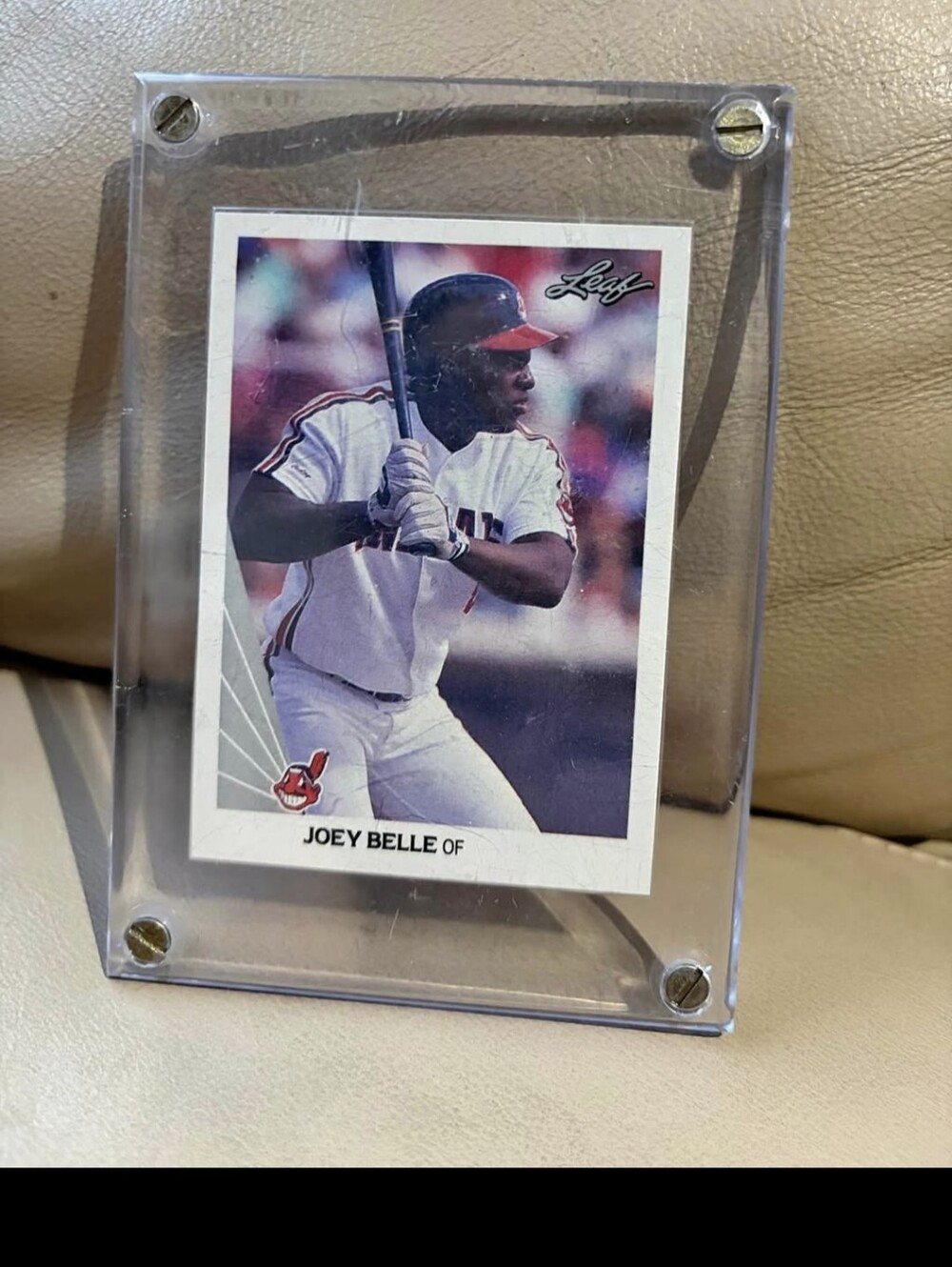 Joey Belle Baseball Card in Clear Acrylic Case
